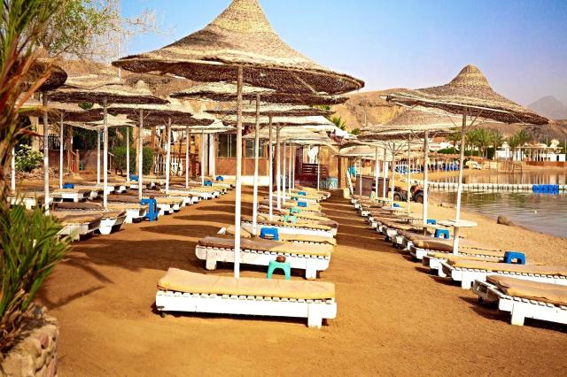 Old Vic Resort
