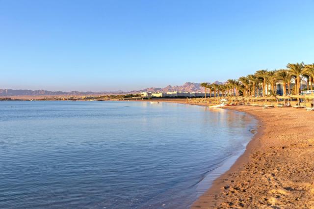Palm Royale Soma Bay