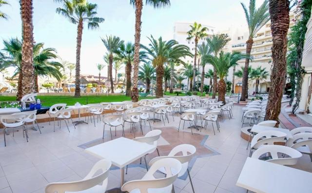 Riadh Palms