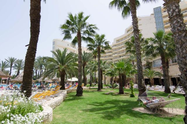 Riadh Palms