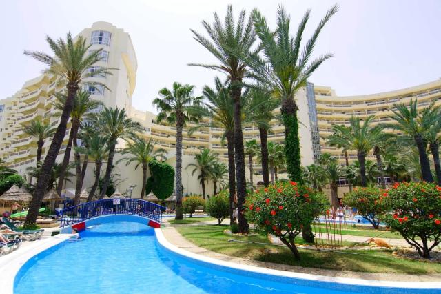 Riadh Palms