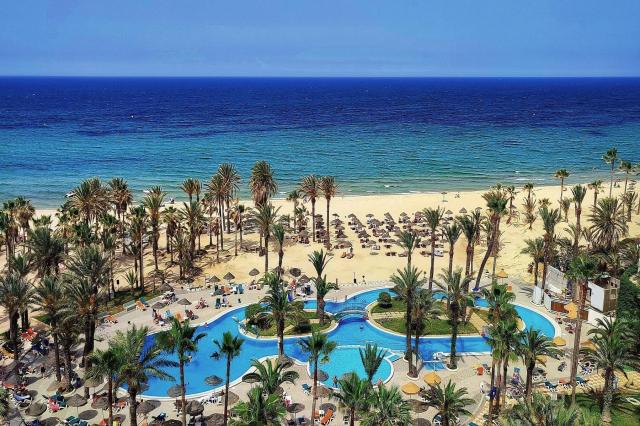 Riadh Palms
