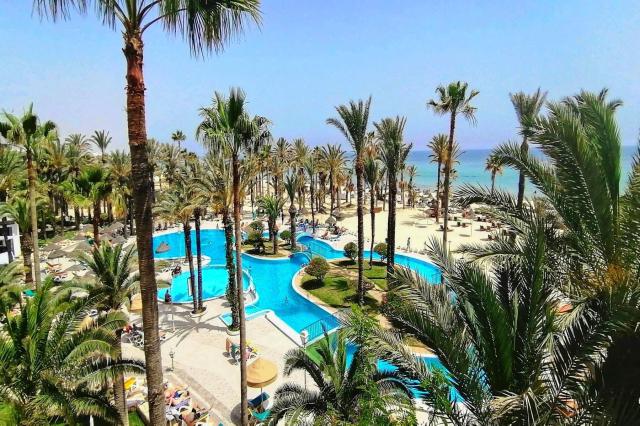 Riadh Palms