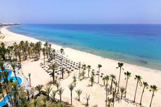 Riadh Palms