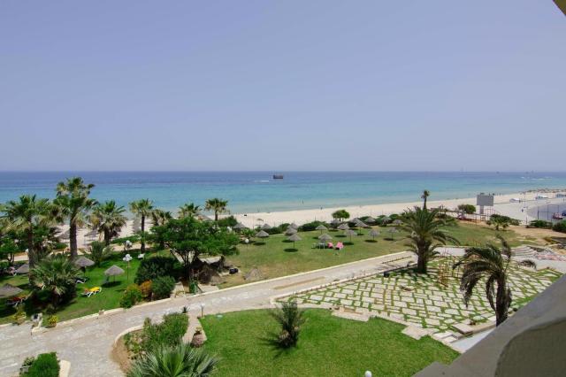 Riadh Palms