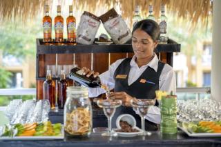 Viva Dominicus Palace by Wyndham, A Trademark All Inclusive