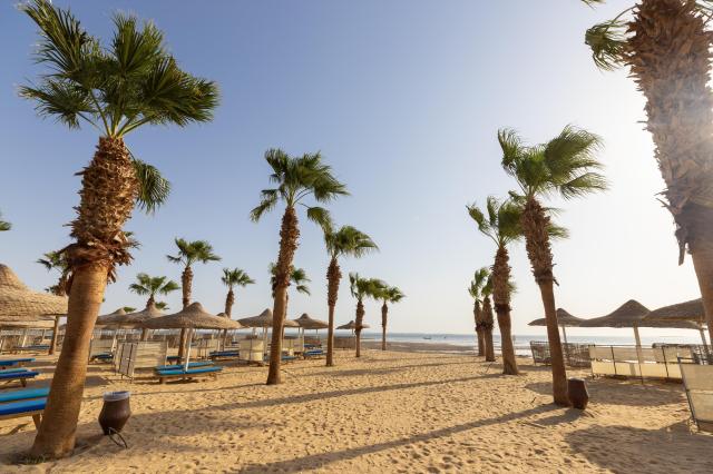 Amwaj Beach Club
