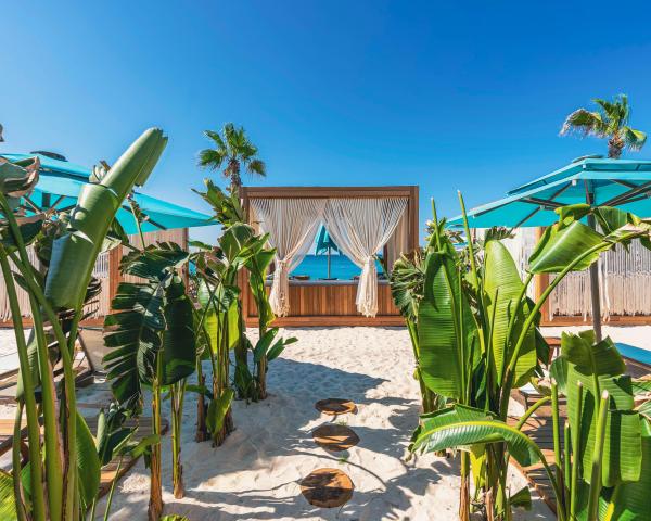 Regnum Carya
