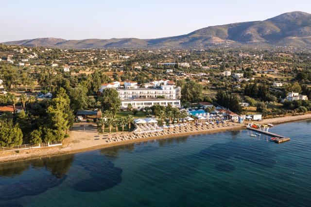 Brown Beach Evia Island