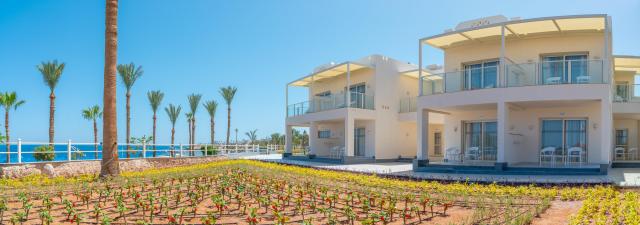 Pickalbatros Royal Grand Resort
