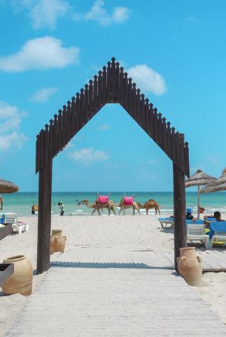 Fiesta Beach Club