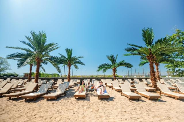 Palms Beach
