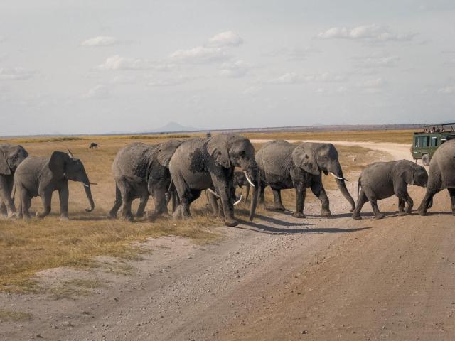2 dny Safari Tsavo East + pobyt u moře v Neptune Beach