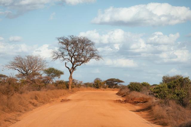 2 dny Safari Tsavo East + pobyt u moře v Neptune Beach