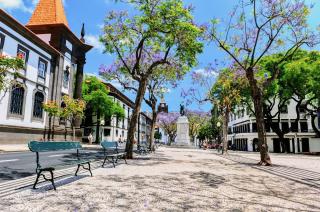Alojamento Central II