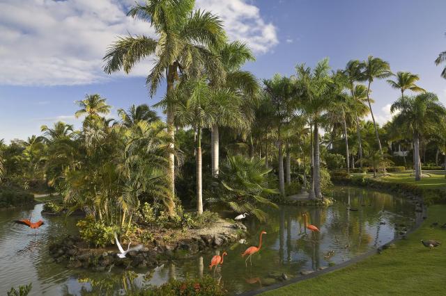 Meliá Caribe Tropical & The Level at Meliá Caribe Tropical