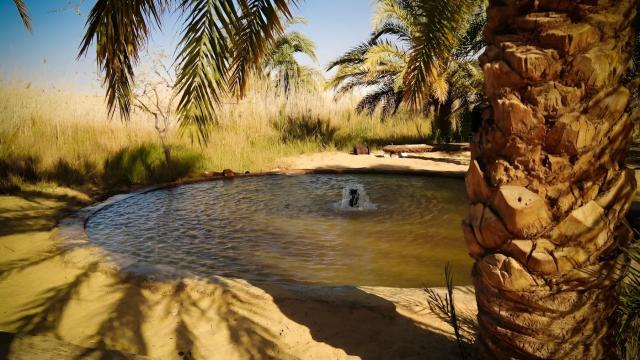 Egypt - Oasis Siwa - poznávací zájezd s odpočinkem u moře v Marsa Matruh