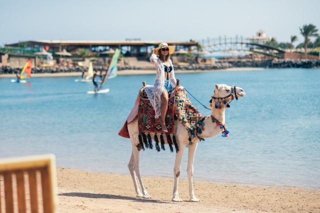 Hotel Desert Rose Resort