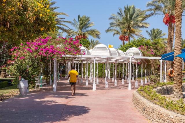Hotel Desert Rose Resort