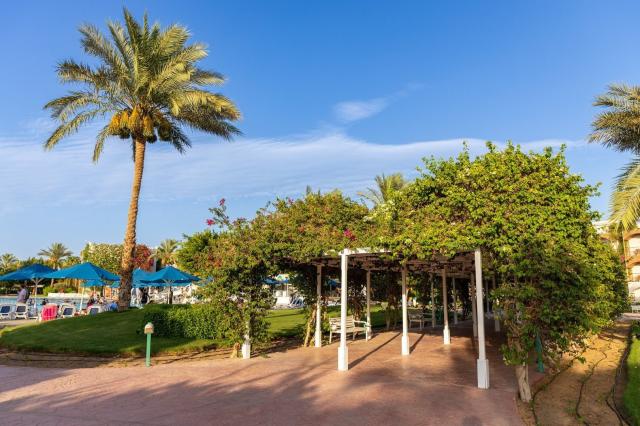 Hotel Desert Rose Resort