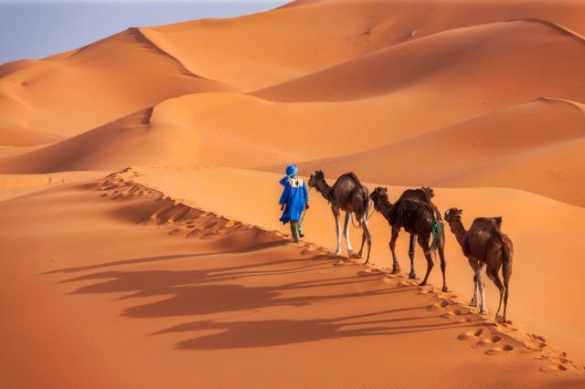 Saharské duny v oblasti Merzouga