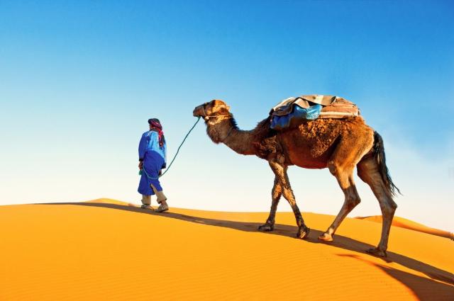 Saharské duny v oblasti Merzouga