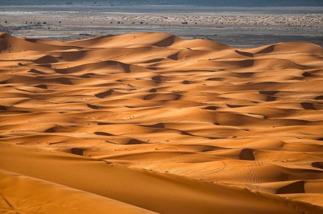 Saharské duny v oblasti Merzouga