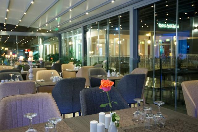 Hotel Ionis Art