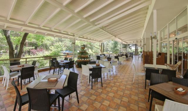 Hotel Vita Park