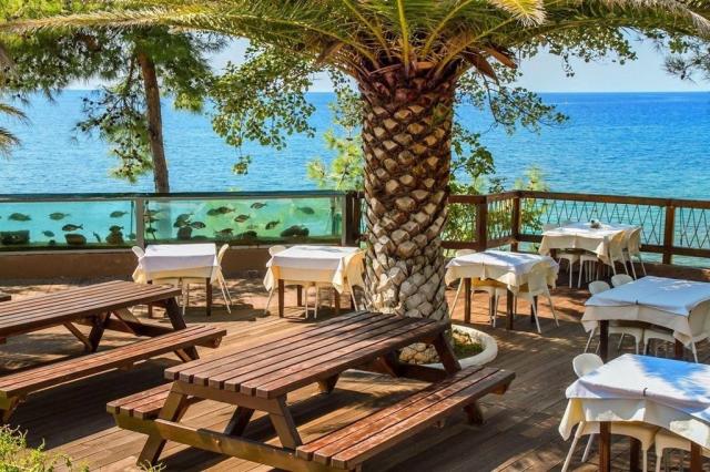 Hotel Alexandra Beach Thassos Spa Resort