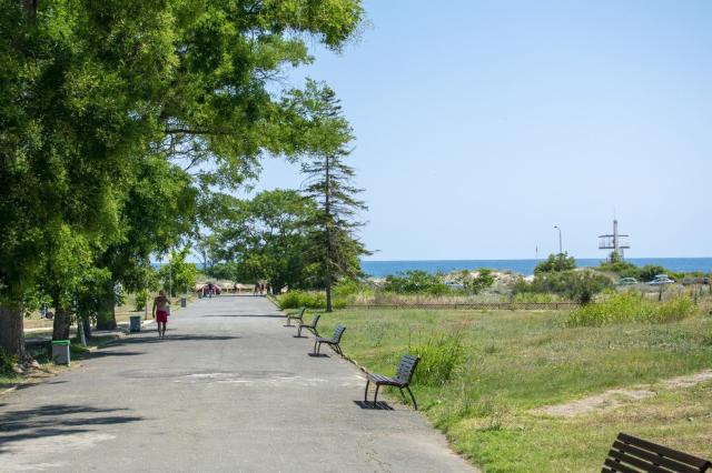 Hotel Forest Beach