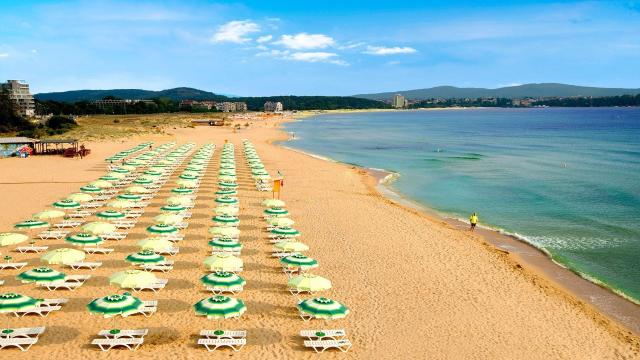 Hotel Forest Beach