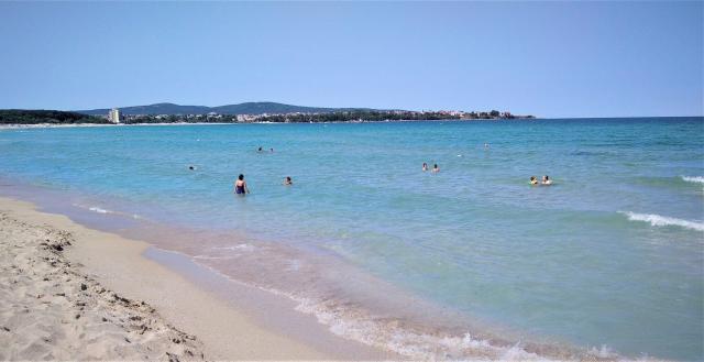 Hotel Forest Beach