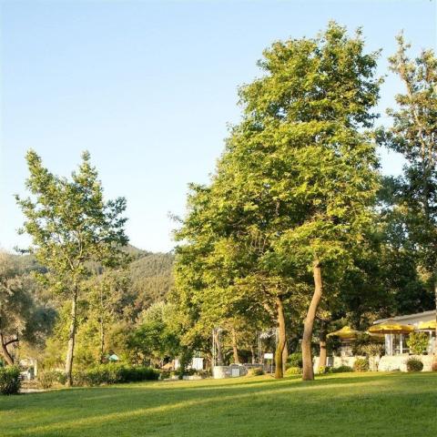 Hotel Makryammos Bungalows