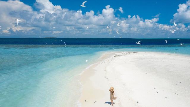 Royal Island Resort & Spa Maldives