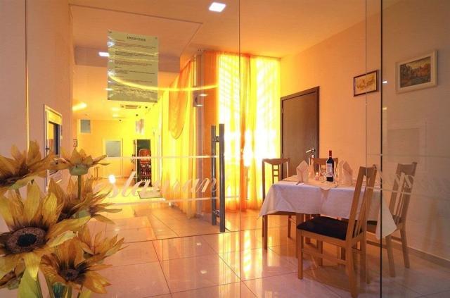 Hotel Plamena Palace