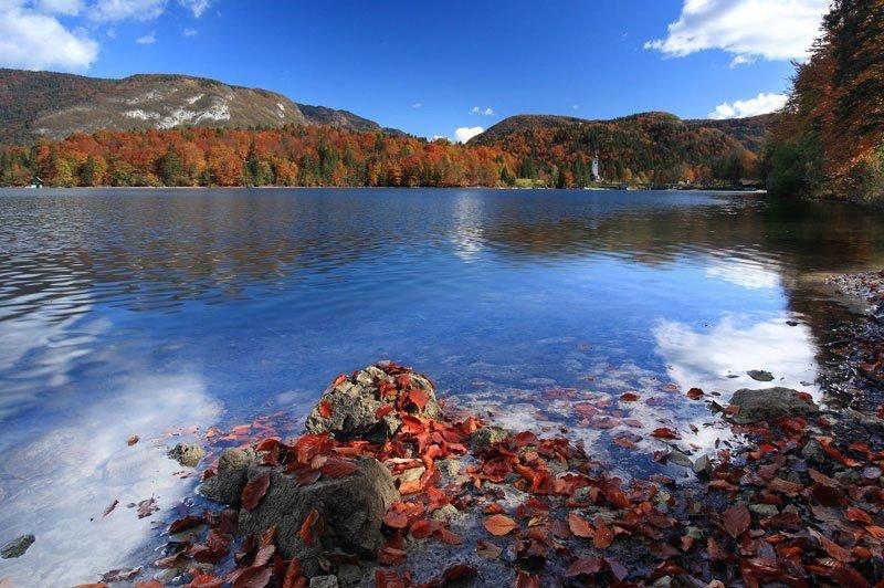 Hotel Jezero Bohinj