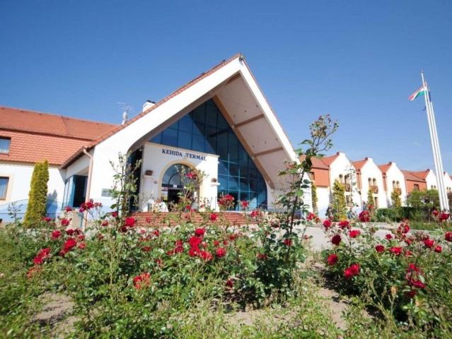 Hotel Kehida Termal