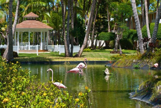 Hotel Catalonia Bavaro Beach & Golf Resort