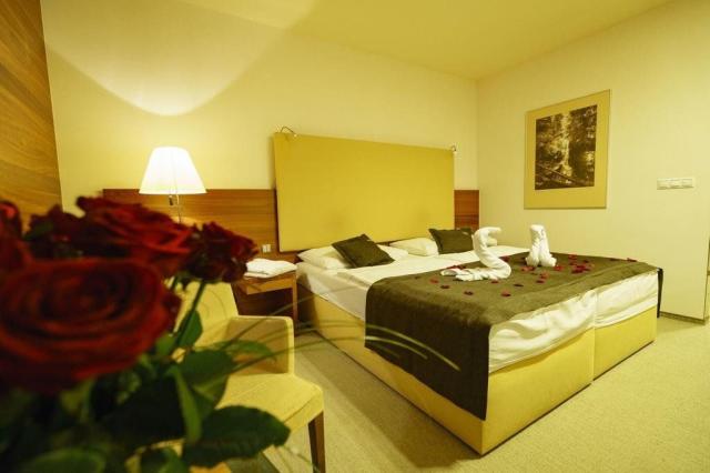 Hotel Mountain View