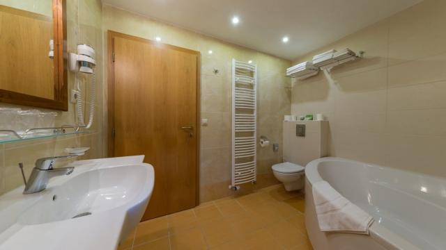 Ski & Wellness Residence Družba