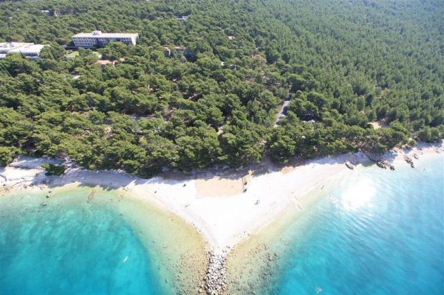 Hotel Alem