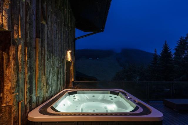 Pytloun Wellness Hotel Harrachov