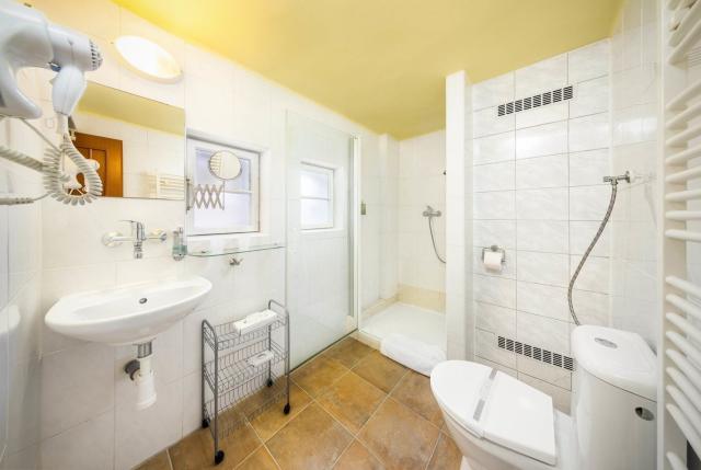 Hotel Záviš z Falkenštejna