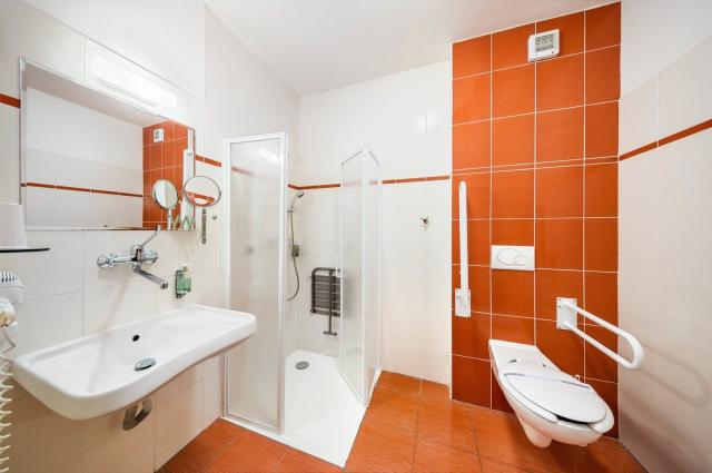 Hotel Záviš z Falkenštejna