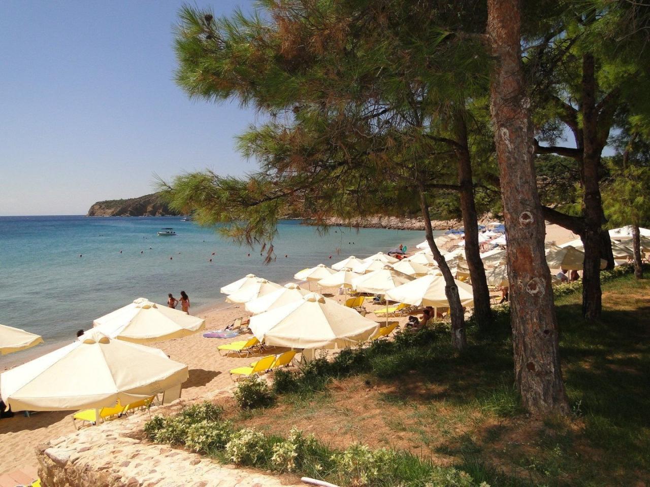 Hotel Royal Paradise Beach Resort & Spa