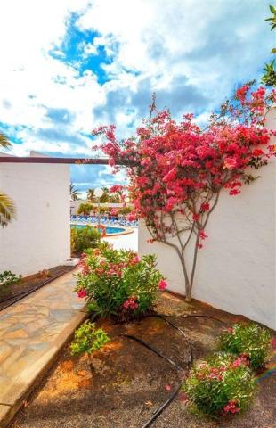 Castillo Beach Bungalows