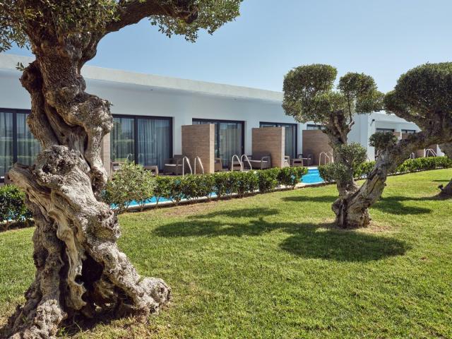 Hotel Cavo Orient Beach Hotel & Suites