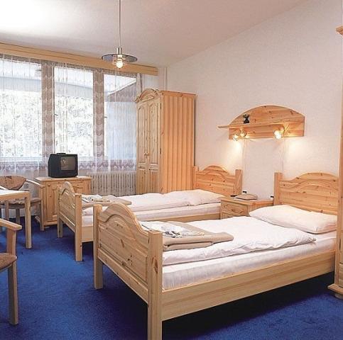 Léčebný dům Borina (Baník)