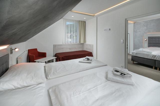 Wellness hotel Astra